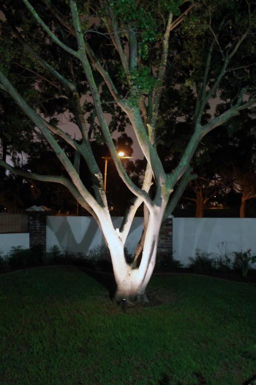 מלון קייפטאון Chaston Manor מראה חיצוני תמונה