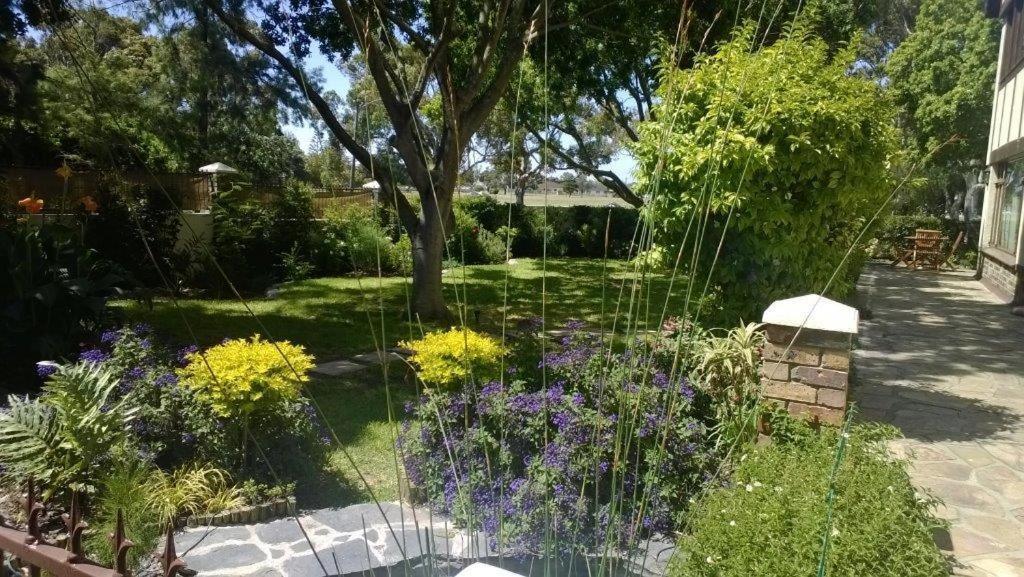 מלון קייפטאון Chaston Manor מראה חיצוני תמונה