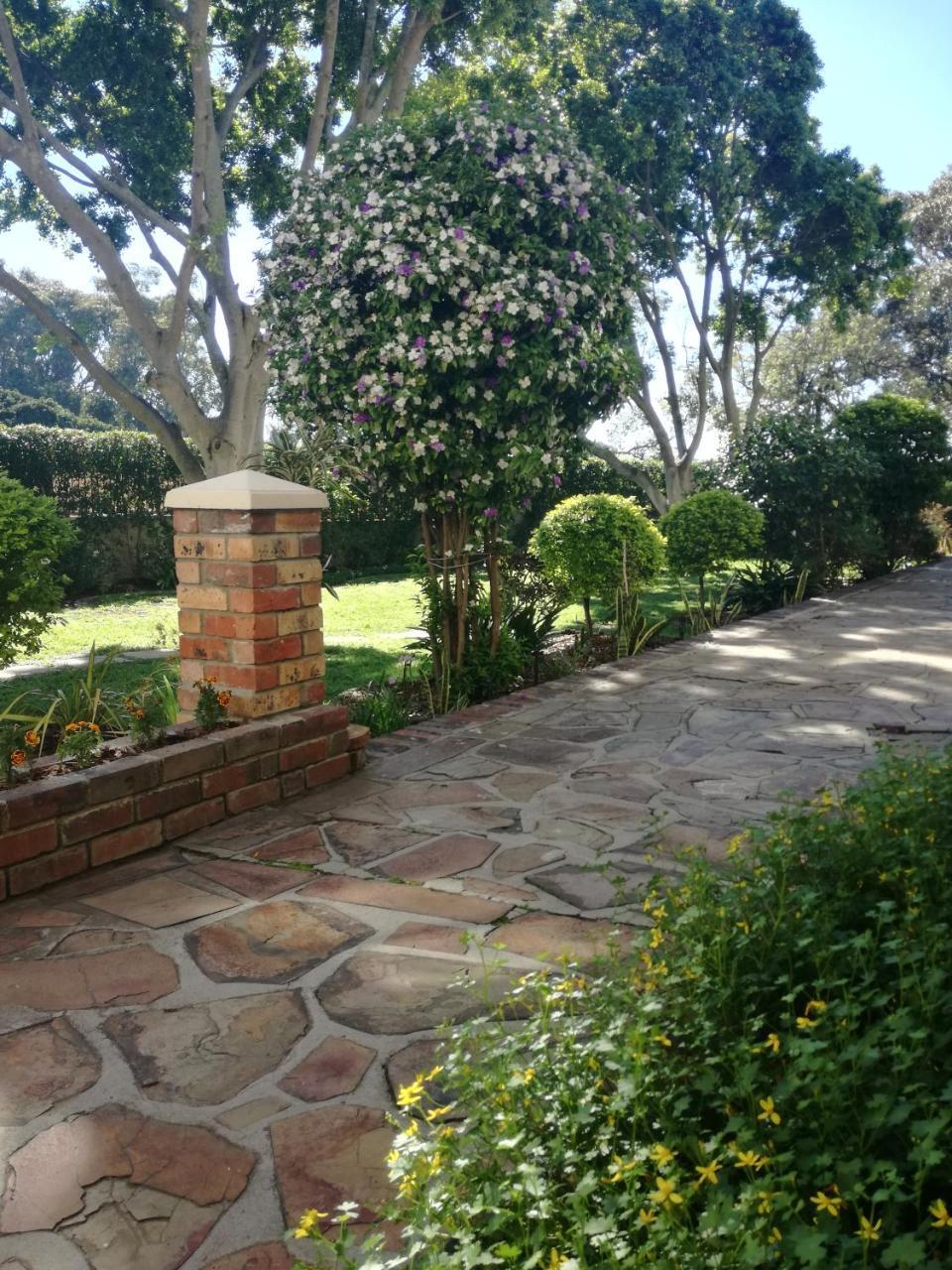 מלון קייפטאון Chaston Manor מראה חיצוני תמונה